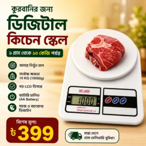Digital Kitchen Scale : 1g to 10kg